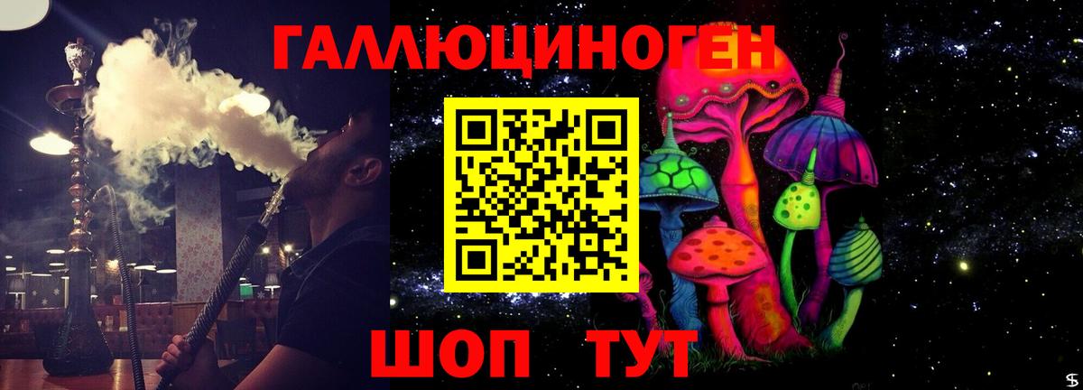 Галлюциногенные грибы Cubensis Тихвин