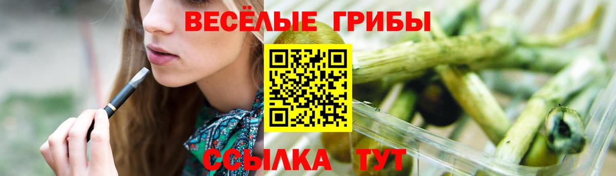 Тихвин  Галлюциногенные грибы мицелий  цена   Вход с VPN  Галлюциногенные грибы MAGIC MUSHROOMS 
