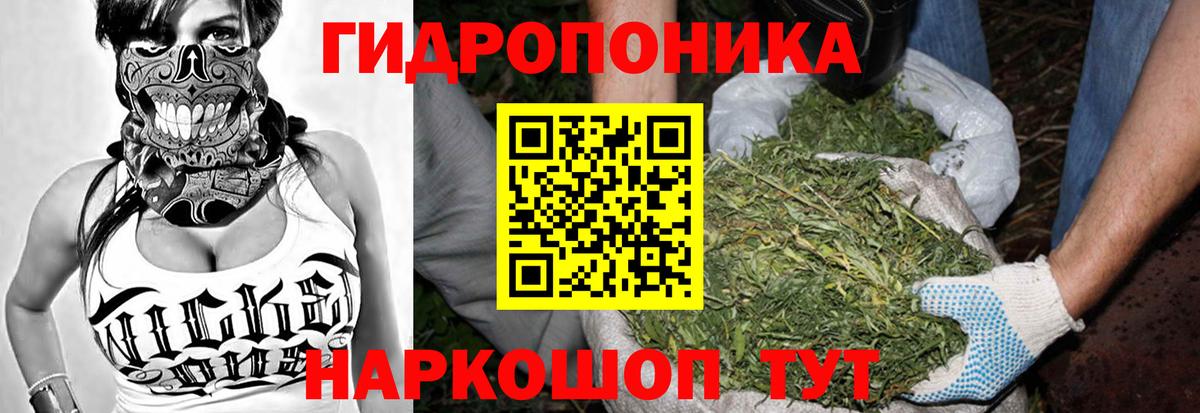 Марихуана конопля Тихвин